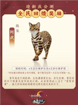 泡点升级天龙八部私服